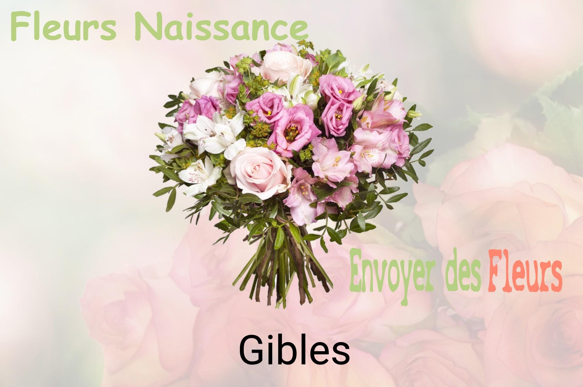 Bouquet de fleurs de naissance livré à Gibles
